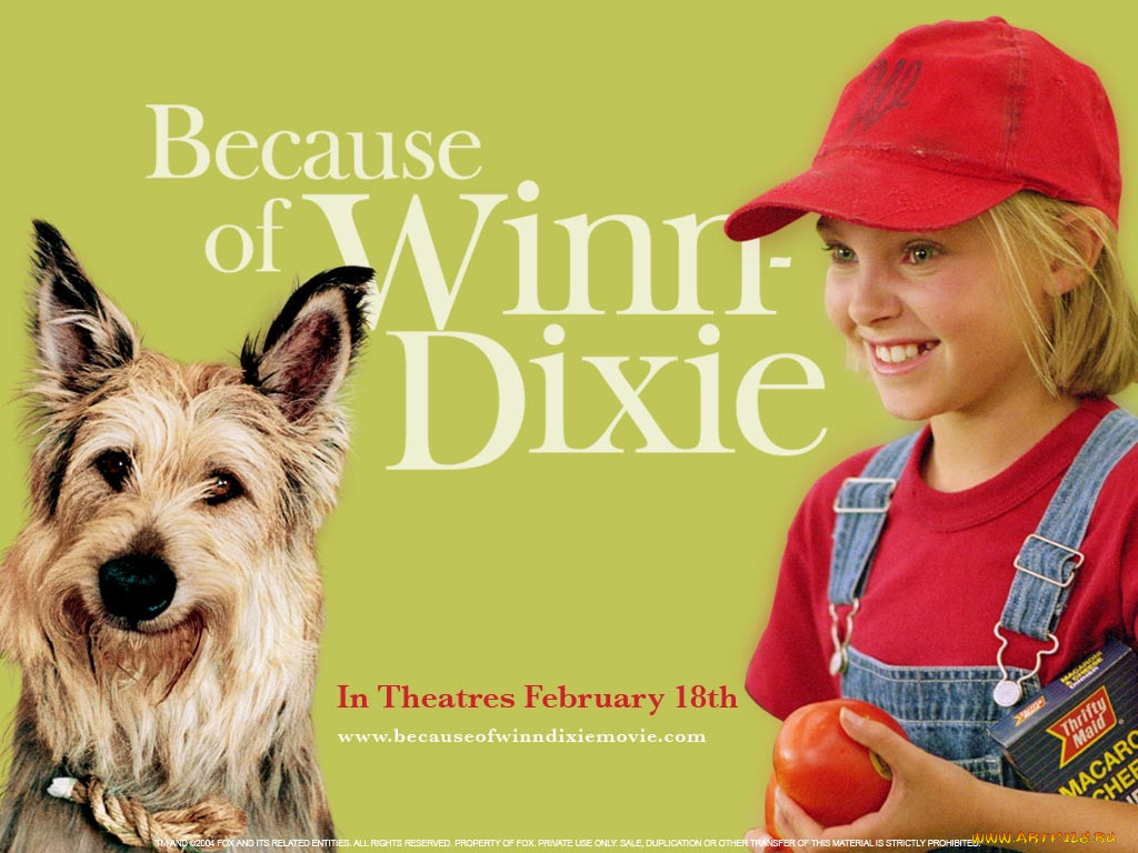 because, of, winn, dixie, , 